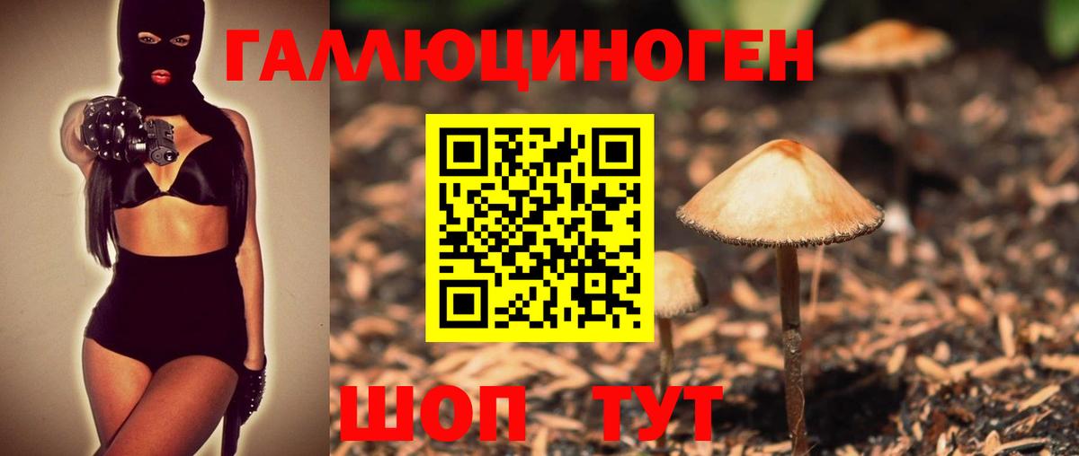 Псилоцибиновые грибы мицелий Владимир