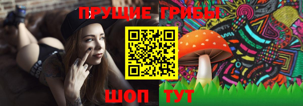 Галлюциногенные грибы ЛСД  Вход с VPN  купить  цена  Владимир 